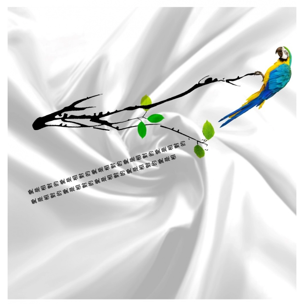 53903115871_66b2a452e1_o_d-1000x1000-1.webp 53903115871_66b2a452e1_o_d-1000x1000-1.webp