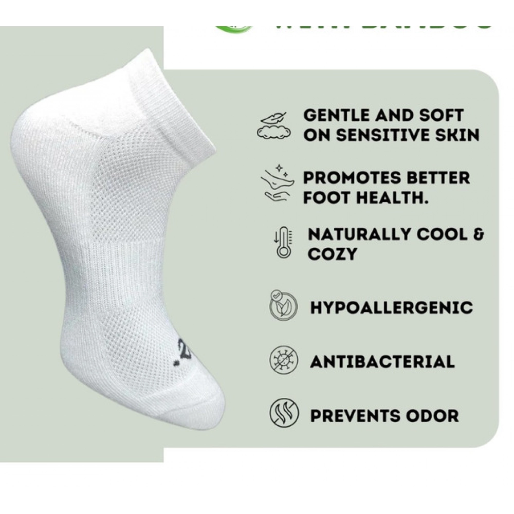 PID-62944-Generic-3-Pair-Set-Unisex-Casual-Cotton-Striped-Low-Cut-Socks-Multicolor-3-1000x1000-1.webp PID-62944-Generic-3-Pair-Set-Unisex-Casual-Cotton-Striped-Low-Cut-Socks-Multicolor-3-1000x1000-1.webp