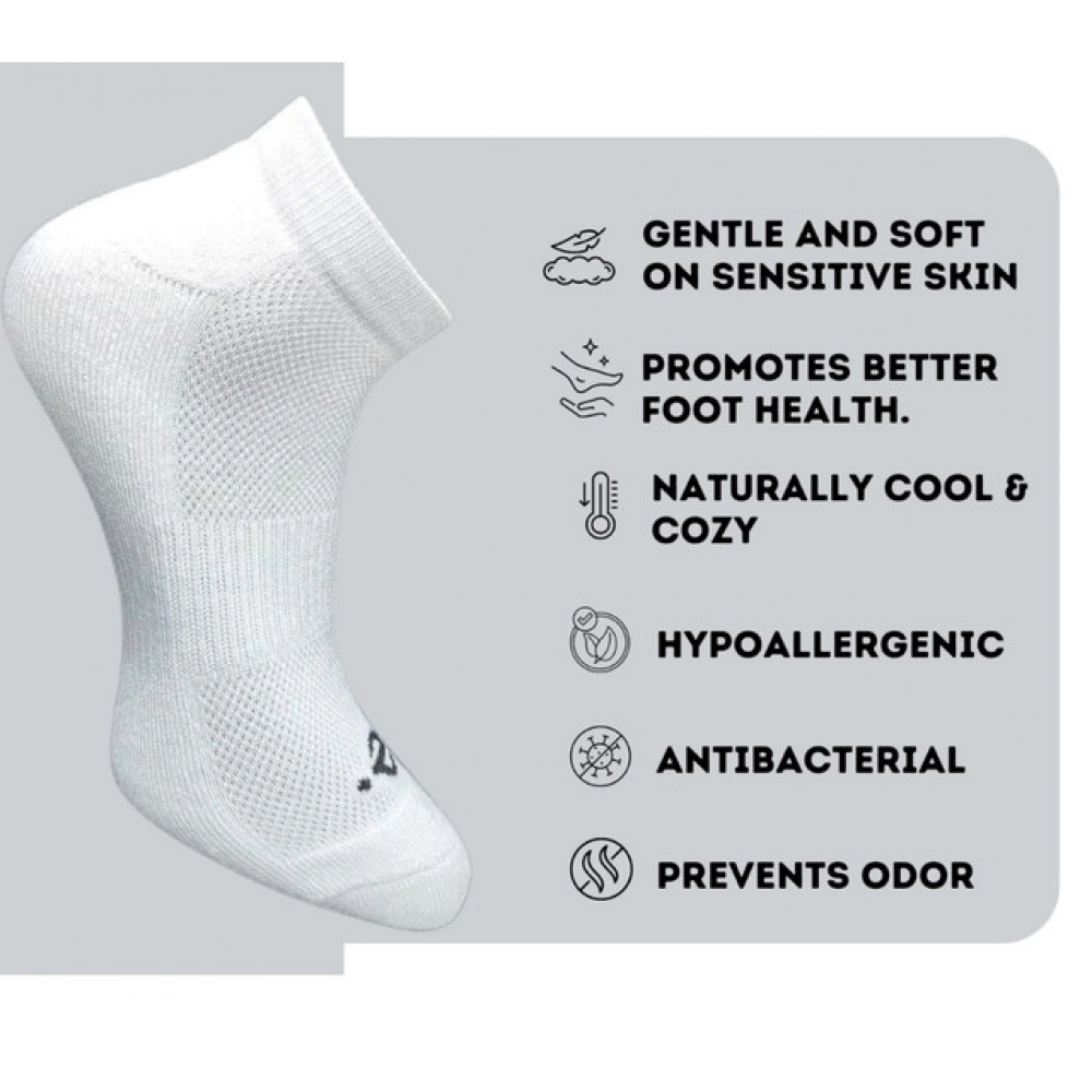 PID-62984-Generic-3-Pair-Set-Unisex-Casual-Cotton-Striped-Low-Cut-Socks-Multicolor-3-1000x1000-1.webp PID-62984-Generic-3-Pair-Set-Unisex-Casual-Cotton-Striped-Low-Cut-Socks-Multicolor-3-1000x1000-1.webp