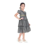 PID-63787-Generic-Girl-s-Artificial-Silk-Printed-Short-Sleeve-V-Neck-Dress-SINGLE-3-1000x1000-1.webp