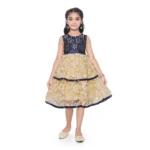 PID-63803-Generic-Girl-s-Fancy-Net-Printed-Sleeve-Less-Round-Neck-Dress-SINGLE-1-1000x1000-1.webp