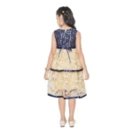 PID-63803-Generic-Girl-s-Fancy-Net-Printed-Sleeve-Less-Round-Neck-Dress-SINGLE-2-1000x1000-1.webp