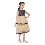 PID-63803-Generic-Girl-s-Fancy-Net-Printed-Sleeve-Less-Round-Neck-Dress-SINGLE-4-1000x1000-1.webp