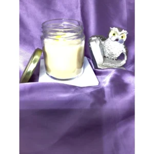 PID-64968-Pack-Of-2-Soy-Wax-And-Bees-Wax-Blend-Candles-Liquid-Volume-130-3-1000x1000-1.webp