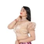 PID-65826-Women-s-Elastic-Sleeve-Jimmy-Plain-Designer-Neck-Readymade-Blouse-Beige-38-Alterable-up-1000x1000-2.webp